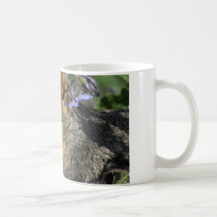 tasse de café avec l'écureuil