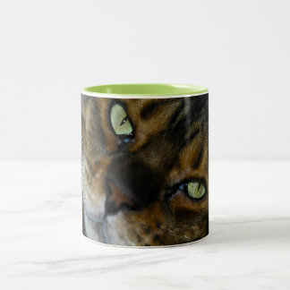Tasse de café customisée d'animal familier