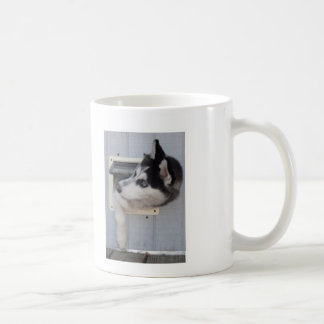 Tasse de café d'années de chien