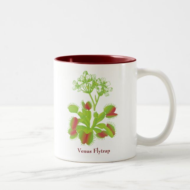 Tasse de café d'attrape-mouche de Vénus (Droit)