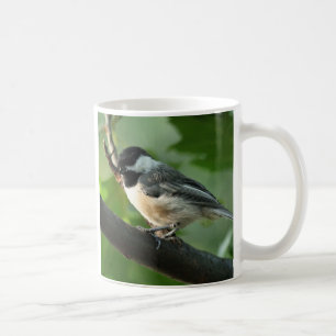 tasse de café de chickadee