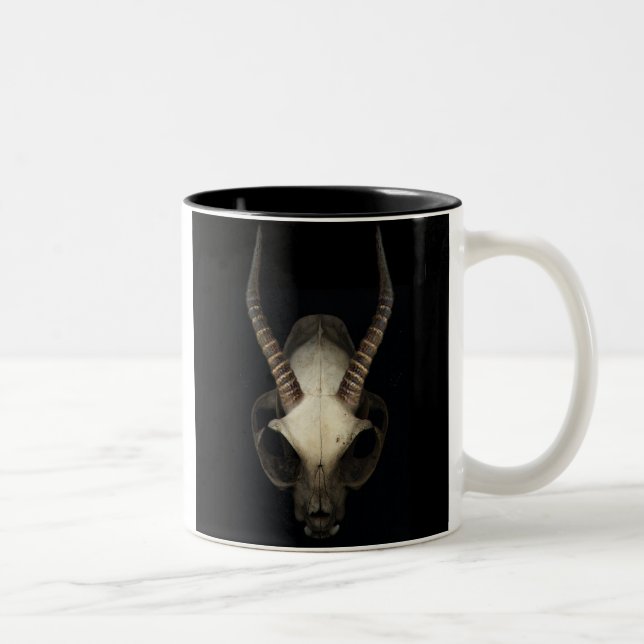 tasse de café de crâne (Droit)