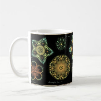 Tasse de café de diatomée de "antiquité"