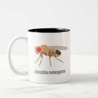 Tasse de café de drosophile