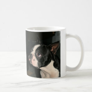 Tasse de café de framboise de Boston Terrier Cuti