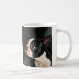 Tasse de café de framboise de Boston Terrier Cutie