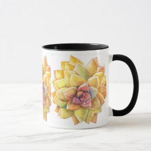 Tasse de café de Graptopetalum