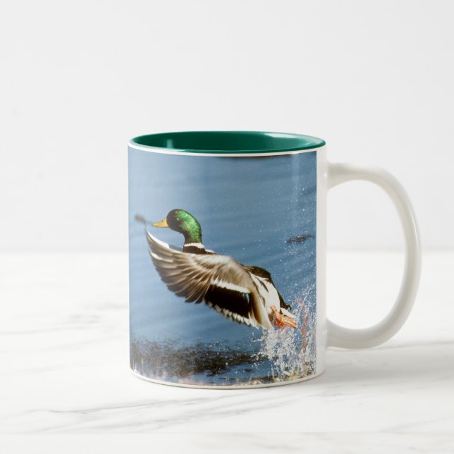 Tasse de café de Mallard (canard) (Droit)