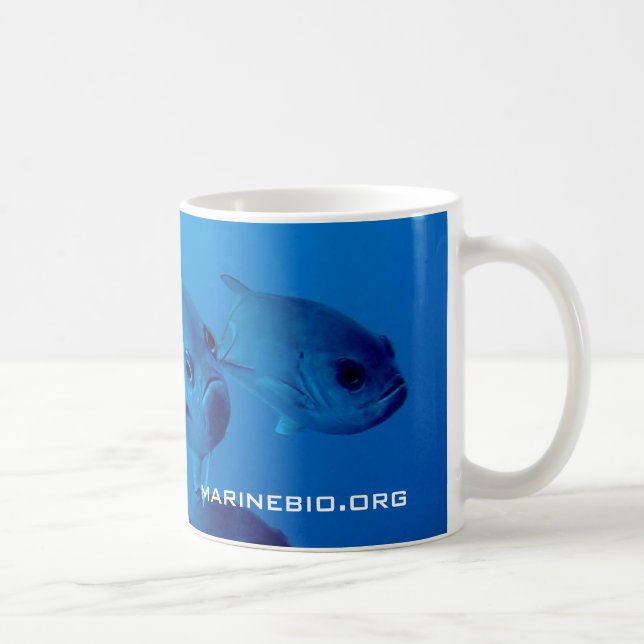Tasse de café de MarineBio (Droite)