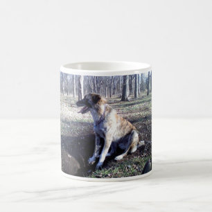 Tasse de café de Nowzad Kujo