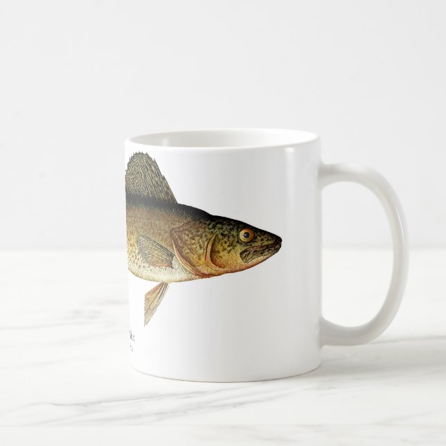 Tasse de café de poissons de Pike de brochets (Droite)