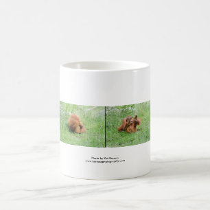 Tasse de café d'orang-outan