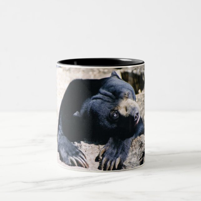 Tasse de café d'ours de Sun (Centre)