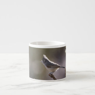 Tasse de café express de mésange de genévrier