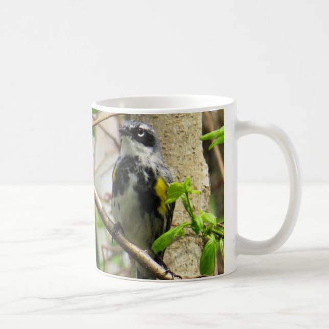 Tasse de café Jaune-rumped de fauvette (Droite)