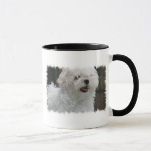 Tasse de café maltaise blanche de chiot