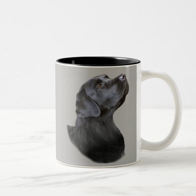 Tasse de café noire de laboratoire (Droit)