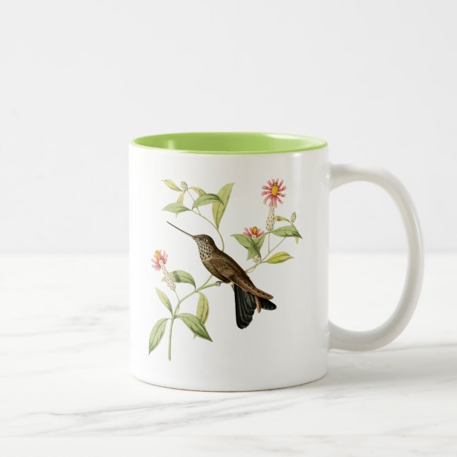 tasse de café sauvage d'oiseau de colibri (Droit)