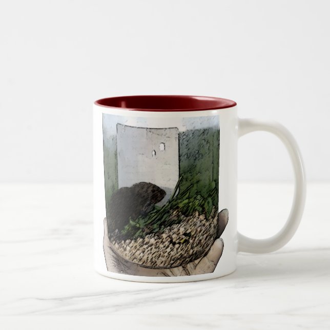 Tasse de campagnol de prairie (Droit)