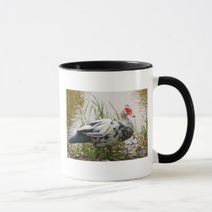 Tasse de canard de Muscovy
