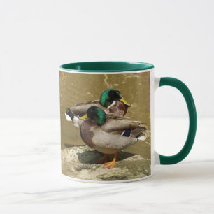 Tasse de canards de Mallard