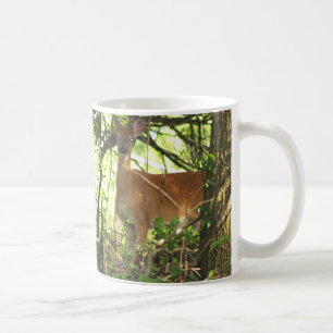 Tasse de cerfs communs coupée la queue par blanc