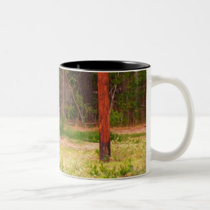 Tasse de cerfs communs d'axe