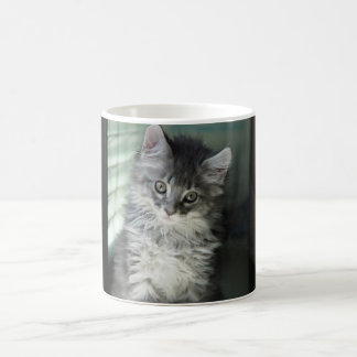 Tasse de chat