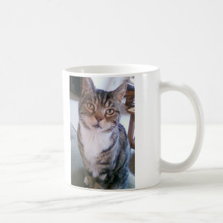 Tasse de chat