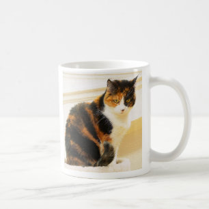 Tasse de chat de calicot