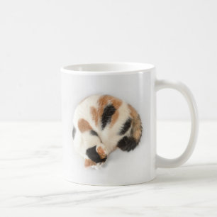 Tasse de chat de calicot de sommeil