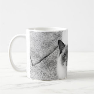 Tasse de chat de Ragdoll