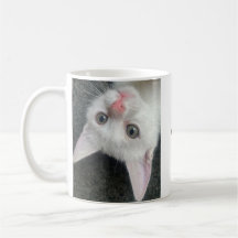 Tasse de chaton, Tasse drôle