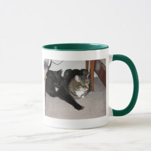 tasse de chats