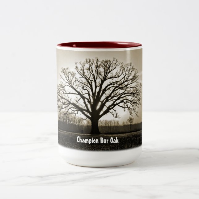 Tasse de chêne de bureau de champion (Centre)