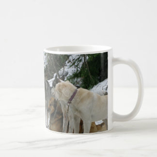 Tasse de chien