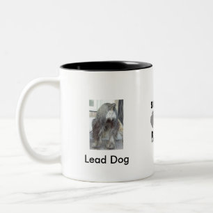 Tasse de chien d'avance