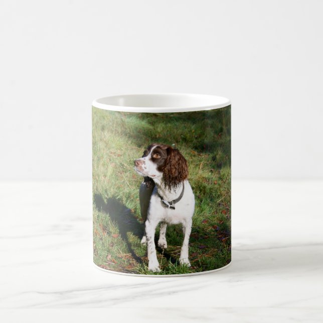 Tasse de chien de springer spaniel (Centre)