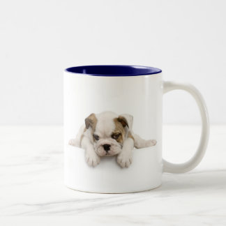 Tasse de chien de Taureau de l'anglais