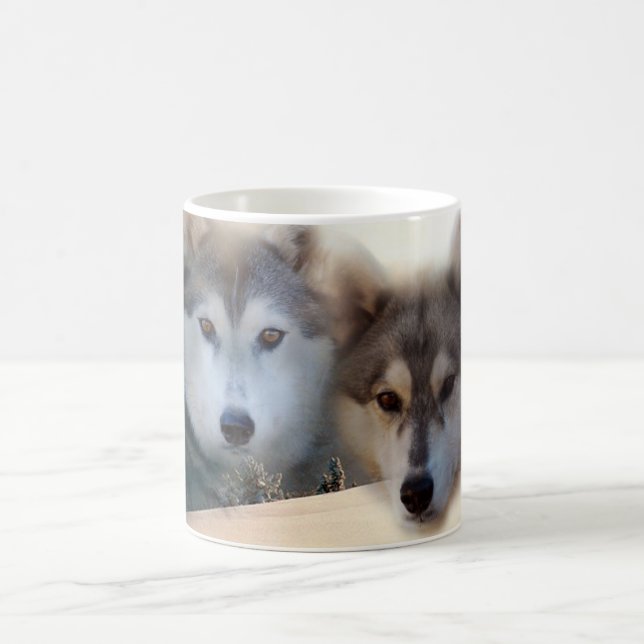 Tasse de chien de traîneau sibérien (Centre)