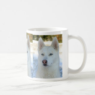 Tasse de chien de traîneau sibérien
