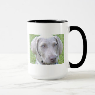 Tasse de chien de Weimaraner