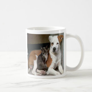 Tasse de chien et de chat