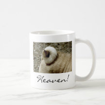 Tasse de ciel de carlin