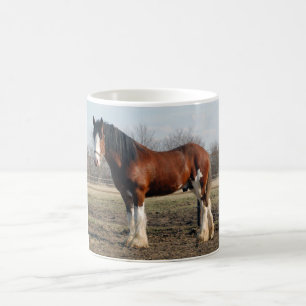 Tasse de Clydesdale