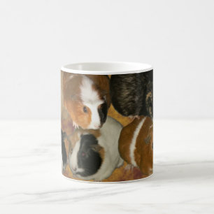 Tasse de cobaye