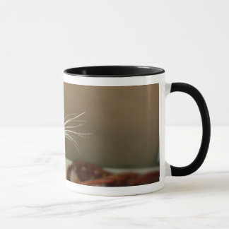 Tasse de coccinelle