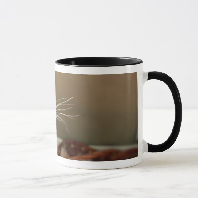 Tasse de coccinelle (Droite)