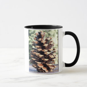 Tasse de cône de pin