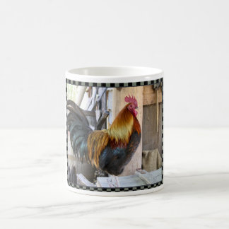 Tasse de coq de basse-cour